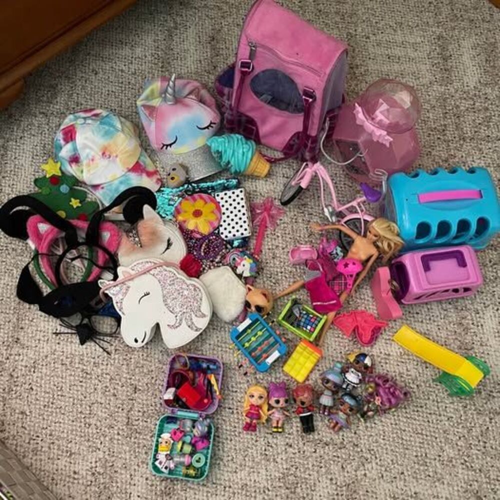Kids Toy & Accessory Bundle – Barbie, LOL Surprise, Pet Carriers, Unicorn & More